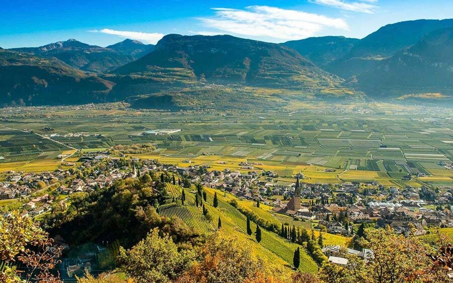 destinazioni vinicole