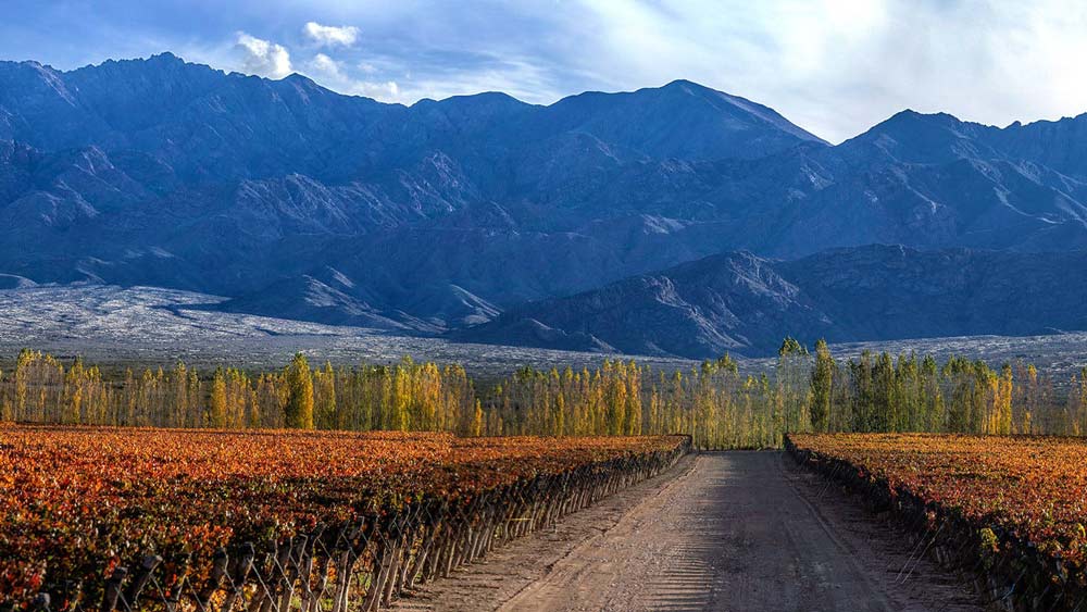 Le migliori destinazioni vinicole per il 2022 uco valley vineyards argentina guide 1