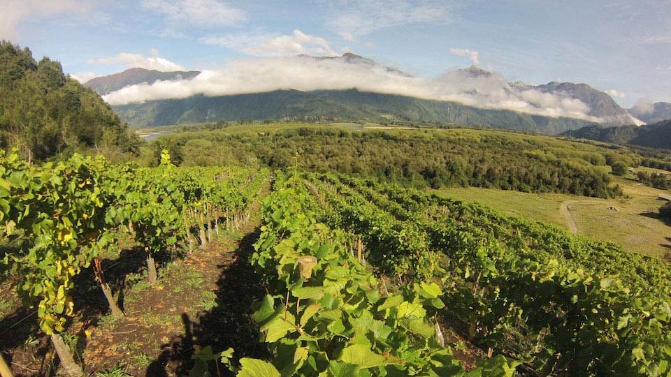 Le migliori destinazioni vinicole per il 2022 vineyards southern chile villa senor wines