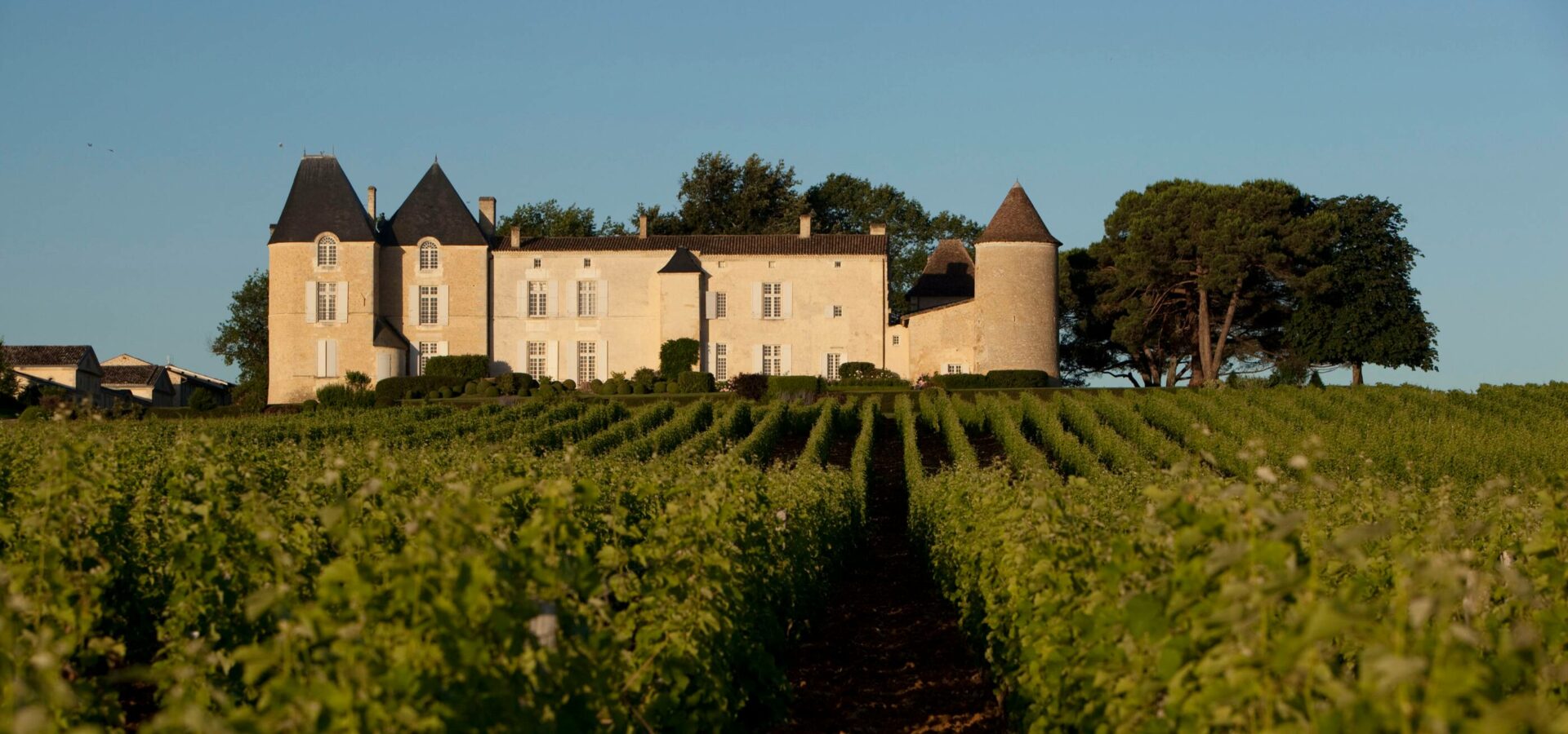 Rilasciato Château d'Yquem 2019 "Eccezionale" gerard uferaschateau dyquem juin 2012 2800x1312 1