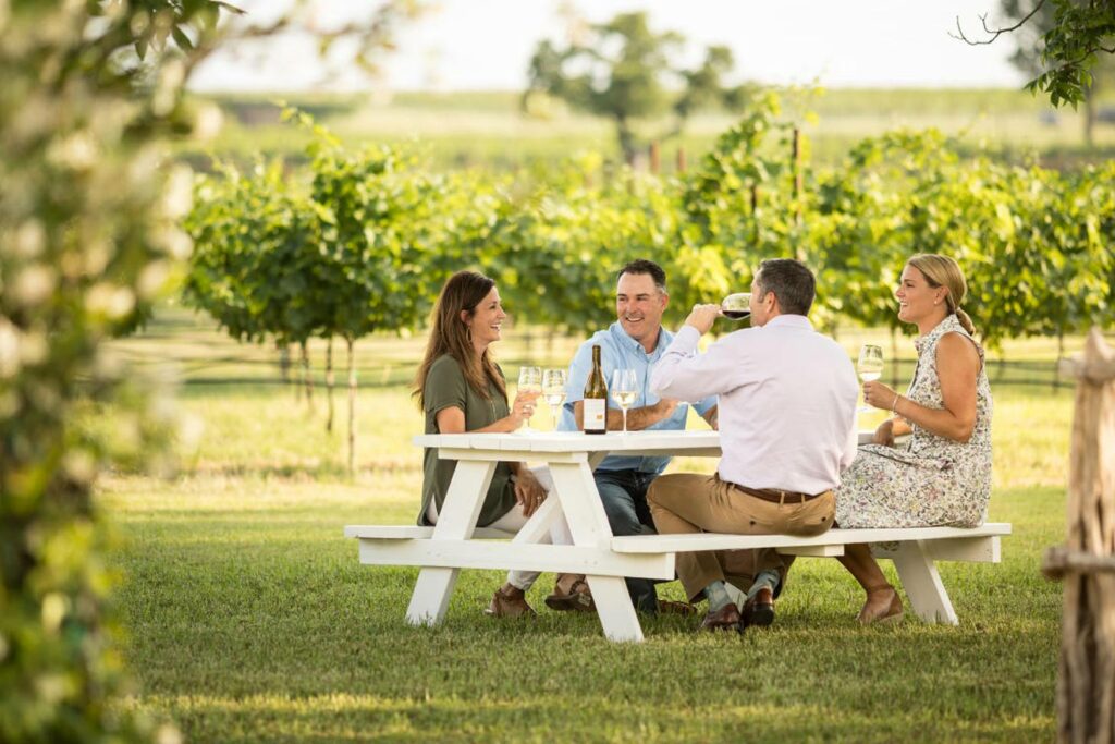 Le 7 migliori regioni vinicole degli stati uniti da visitare nel 2022 texas hill