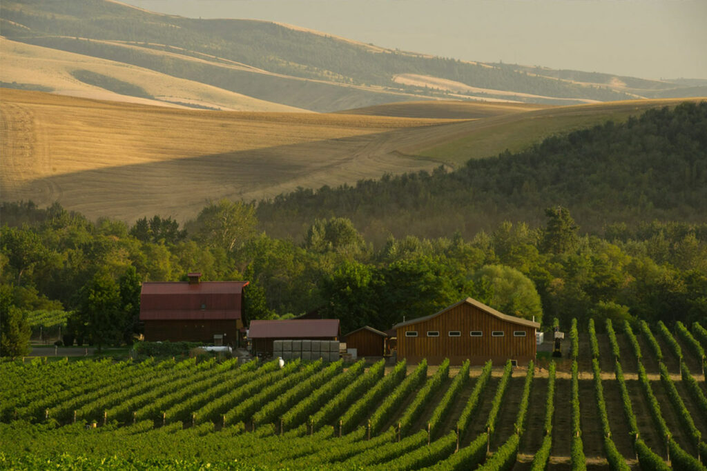 Le 7 migliori regioni vinicole degli stati uniti da visitare nel 2022 walla walla